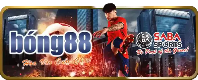 Đội ngũ hỗ trợ khách hàng chuyên nghiệp của MLV88